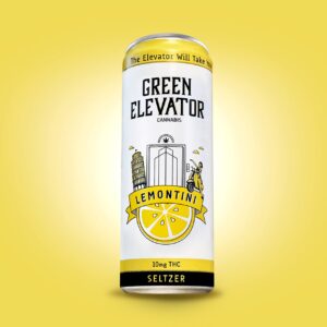 Lemontini Seltzer | 10mg | Single Can