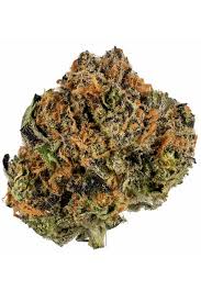 Blueberry Pancake