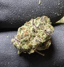 Modified Grapes (Small Buds)