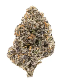 Candy Land