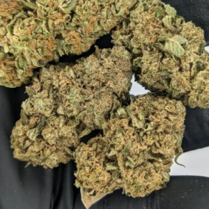 Grapefruit
