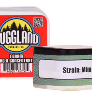 Nuggland